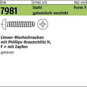 Blechschrauben Linsenkopf schwarz 3,5x16mm 1000Stück DIN7981 in